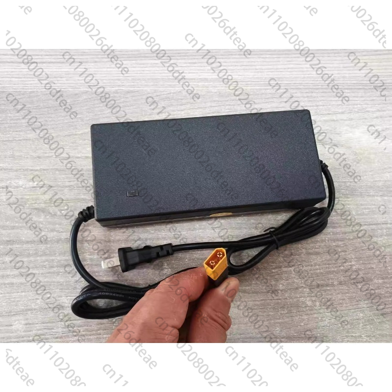 電動ブースター/ゴムスリーブ/48V充電器/スピードコントロ - Rubber Booster Speed のレビューと価格