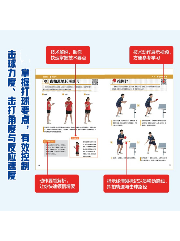 Book-Winshare イラスト付き卓球 快適な基礎テク - Table Tennis Basic のレビューと価格