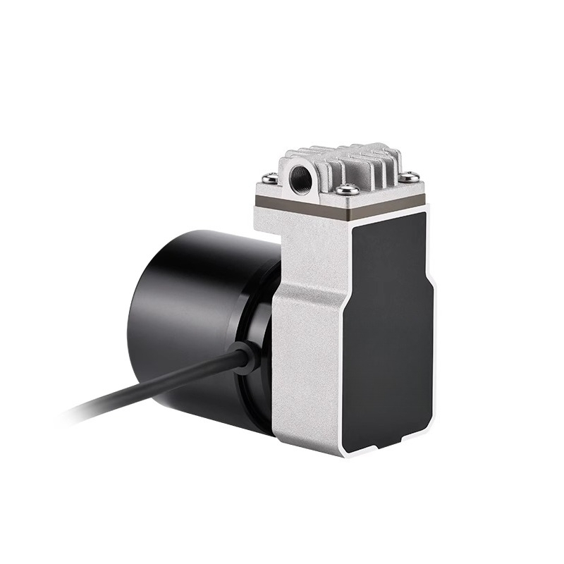 スイングピストンポンプ 24V ブースターポンプ DC ブラ - Rubber Booster Speed のレビューと価格