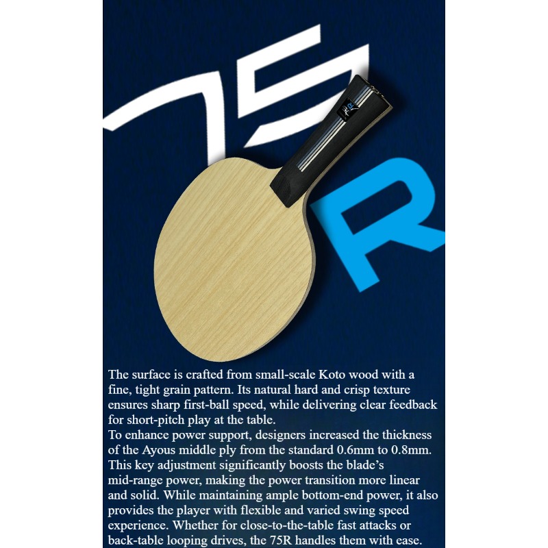 SANWEI 75R 5+2 アウターH-GLC卓球ブレード - Table Tennis Paddle のレビューと価格
